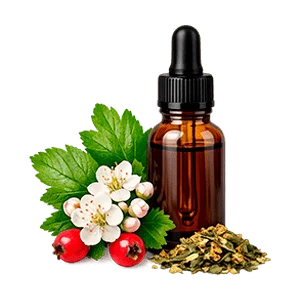 Cardiflex — espino blanco, hoja (Crataegus monogyna)